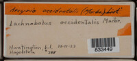 Image Associated With the Occurence
